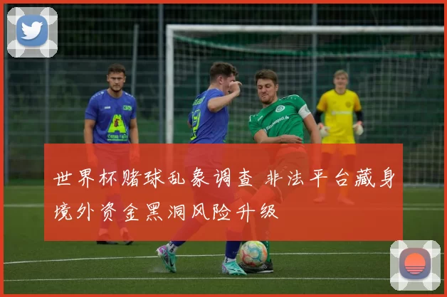世界杯赌球乱象调查 非法平台藏身境外资金黑洞风险升级