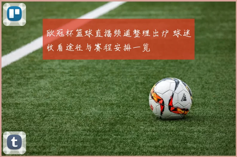 欧冠杯篮球直播频道整理出炉 球迷收看途径与赛程安排一览