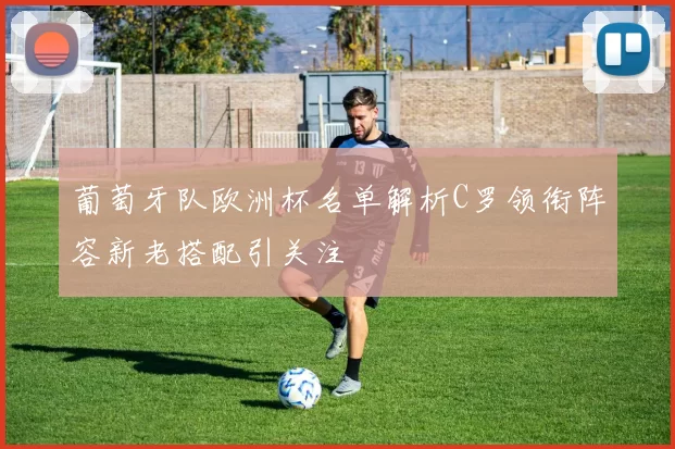 葡萄牙队欧洲杯名单解析C罗领衔阵容新老搭配引关注