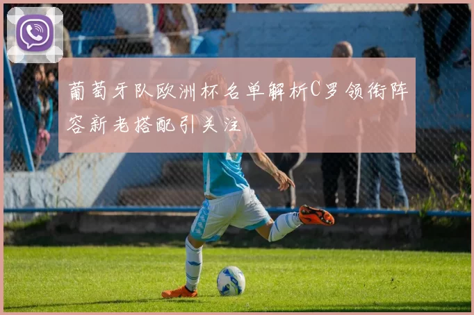 葡萄牙队欧洲杯名单解析C罗领衔阵容新老搭配引关注