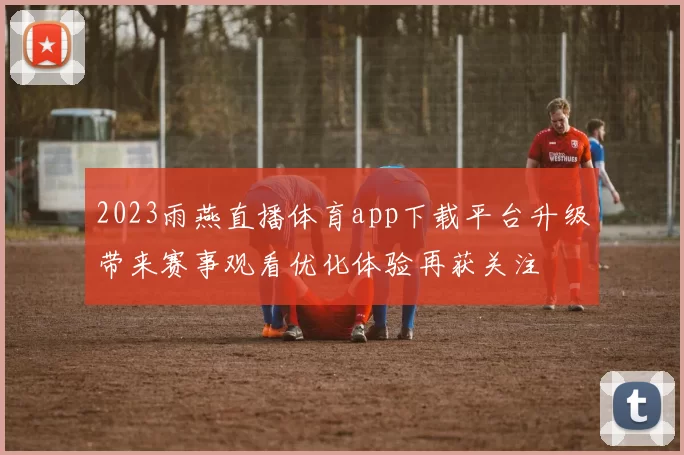2023雨燕直播体育app下载平台升级带来赛事观看优化体验再获关注